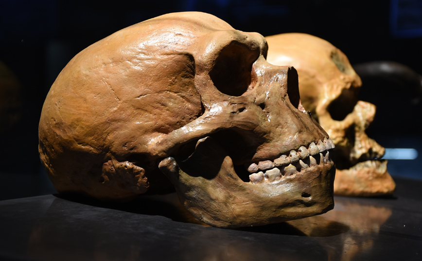Ανακαλύφθηκε το πρόσωπο του «αρχαιότερου άνθρωπου» στη Γη &#8211; Η γυναίκα από την Τσεχία που έζησε πριν από 45.000 χρόνια
